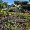 돌담연가 이미지