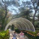 동아대 빛 태권도 이미지