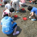 사구어촌체험마을(송지면 사구마을) 네이버블로그