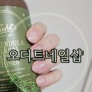 네일오디트