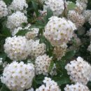 우천농장 이미지