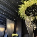 뮤 | W.31 대전결혼식 축가 섭외 '숨고 뮤지웅' 섭외본식 내돈내산 후기