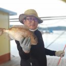 항구낚시터 이미지