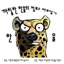 더캐시미어;래트바이티