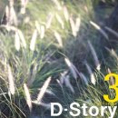 원써겐 카카오 검색결과