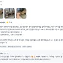 고양이나무 | [고객 후기] 고무나무 원목 고양이 집 / 지샌달 목공소