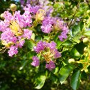 부평공원 이미지