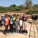 보성한라승마클럽 네이버블로그