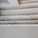 신방통정로 이미지