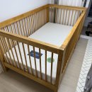 올리브데이 이미지