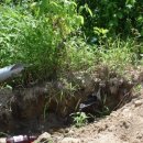 남대천공중화장실 이미지