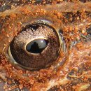 인삼농장 이미지