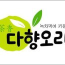 팜덕