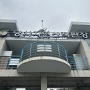 [울산 북구 맛집] 당사자연산직판장에서 먹은 자연산 회 5번 강동횟집 &#39;바다꽃밥초장&#39;