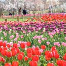 호수공원 2주차장옆 이미지