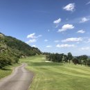 파인 힐링 이미지