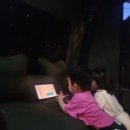 오토타운 | 인제캠핑타운 오토캠핑장 후기(7월 둘째주)