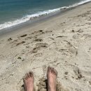 용화파도민박 이미지