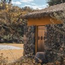 스테이-곁 이미지