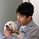 안전문자 이미지
