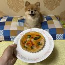 댕댕잡화점 네이버블로그