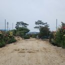 로타리 꽃농원 이미지