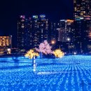 팔딱팔딱 이미지