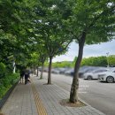 한국민속촌 두돌아기랑 주말방문후기 현장할인 식당,수유실
