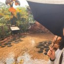 🇺🇸 #28 [Disney] Say Good bye to Disney