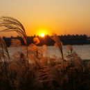 반딧불 펜션 이미지