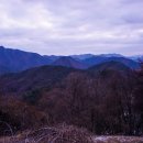 게으른 악어 이미지