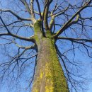 메타행정사사무소 이미지