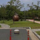 둔산대로 이미지