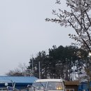 씨맨하우스 이미지