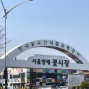 가동 | 양재 꽃시장 분화온실｜영업시간·주차·가동 나동 식물 구경 후기