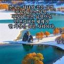 조양경로당 Daum카페