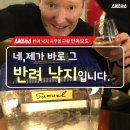 코난아쿠아리움
