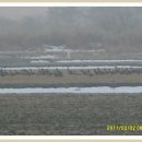 보리와철새 이미지