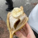 야상회 | 충주 가볼만한곳 악어봉 탐방로 등산 소요시간