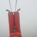 청양 칠갑산 산행 사진 이미지
