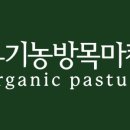 방목내 이미지