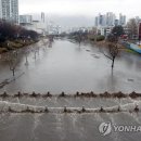온천천일대13 이미지