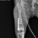 송정동물메디컬센터 이미지