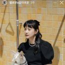 셀로판B 이미지