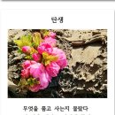 디카시로 일상을 빚다 6) 아임코리안 게제 이미지