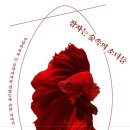 왓앤