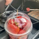 네비마켓 광양점 | 광양 매화축제 다녀온 후기