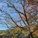 광제산영농조합법인 이미지