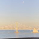 하운드호텔 이미지