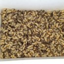 현진2농장 이미지